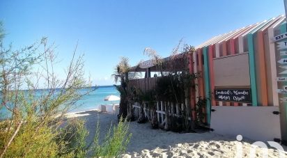 Apartment 3 rooms of 43 m² in Le Lavandou (83980)