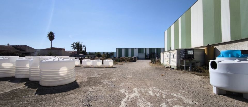 Local d'activités de 2 260 m² à Montady (34310)