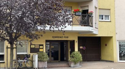 Offices of 48 m² in Sélestat (67600)