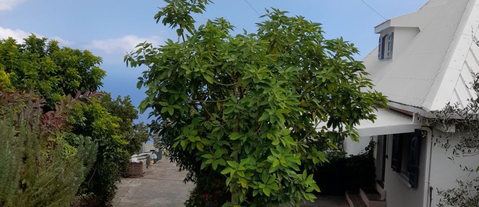 Maison traditionnelle 23 pièces de 420 m² à Saint-Leu (97416)