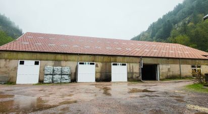 Business premises of 2,000 m² in Gérardmer (88400)