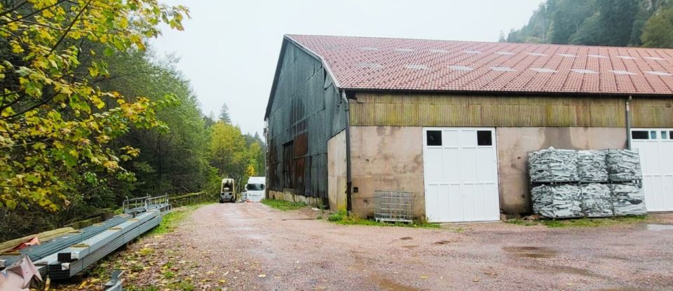 Business premises of 2,000 m² in Gérardmer (88400)