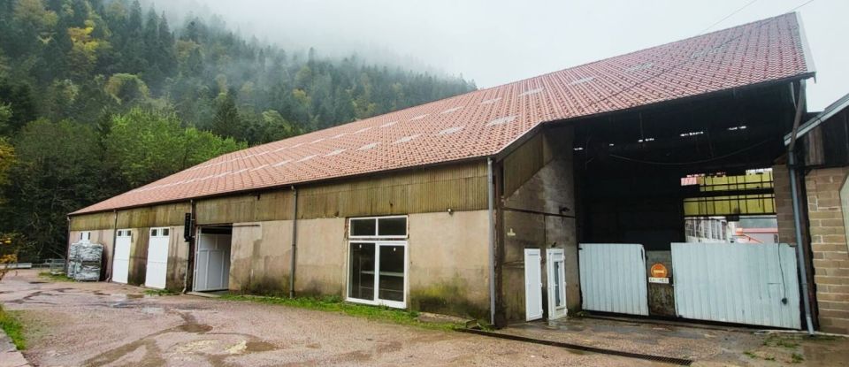 Business premises of 2,000 m² in Gérardmer (88400)