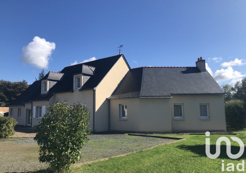 Maison traditionnelle 9 pièces de 183 m² à Baugé-en-Anjou (49150)