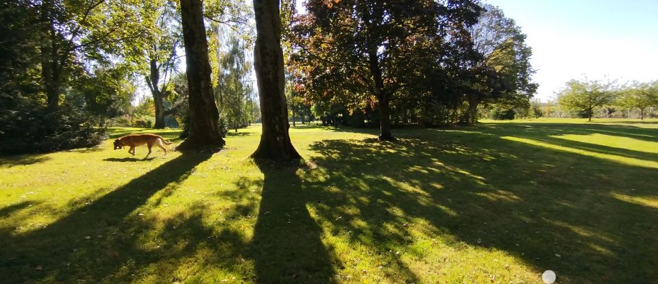 Maison de campagne 8 pièces de 220 m² à Saint-Cosme-en-Vairais (72110)