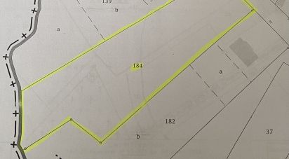 Terrain de 4 133 m² à Manou (28240)