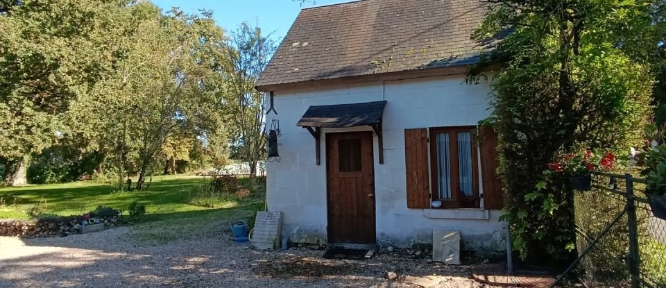 Longère 5 pièces de 145 m² à Vicq-sur-Nahon (36600)