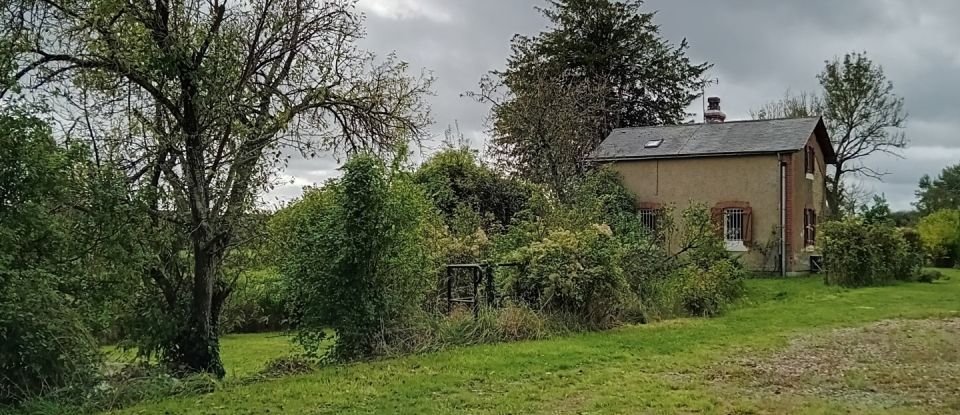 Maison de campagne 3 pièces de 53 m² à Savigny-sur-Braye (41360)