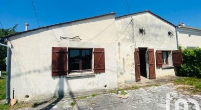 Maison traditionnelle 3 pièces de 68 m² à Ambarès-et-Lagrave (33440)