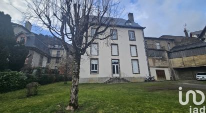 Immeuble de 262 m² à Vic-sur-Cère (15800)