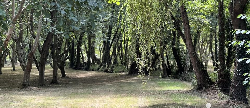 Moulin 9 pièces de 249 m² à Soublecause (65700)