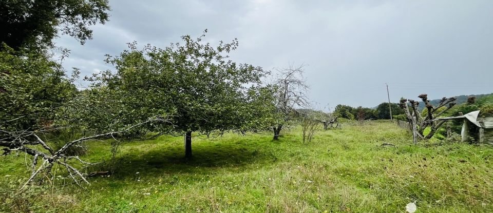 Maison de campagne 6 pièces de 128 m² à Terrasson-Lavilledieu (24120)