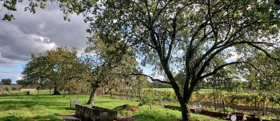 Ferme 6 pièces de 100 m² à Bouresse (86410)