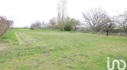 Terrain de 1 145 m² à Rieumes (31370)