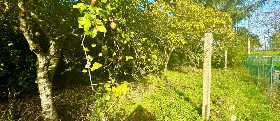 Maison 6 pièces de 110 m² à Ménétréol-sous-Sancerre (18300)