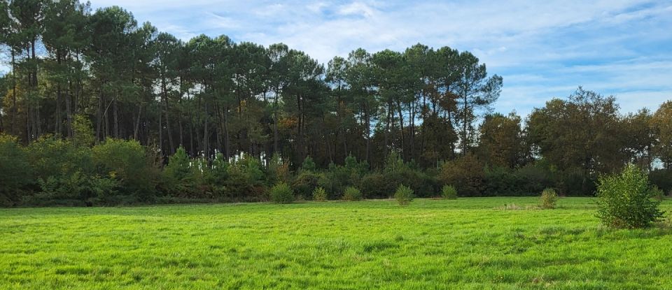 Terrain de 44 000 m² à Bazas (33430)