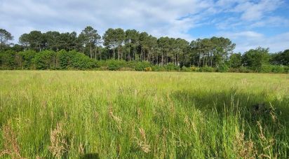 Terrain de 44 000 m² à Bazas (33430)