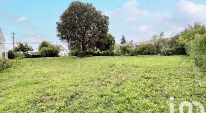 Terrain de 517 m² à Olivet (45160)