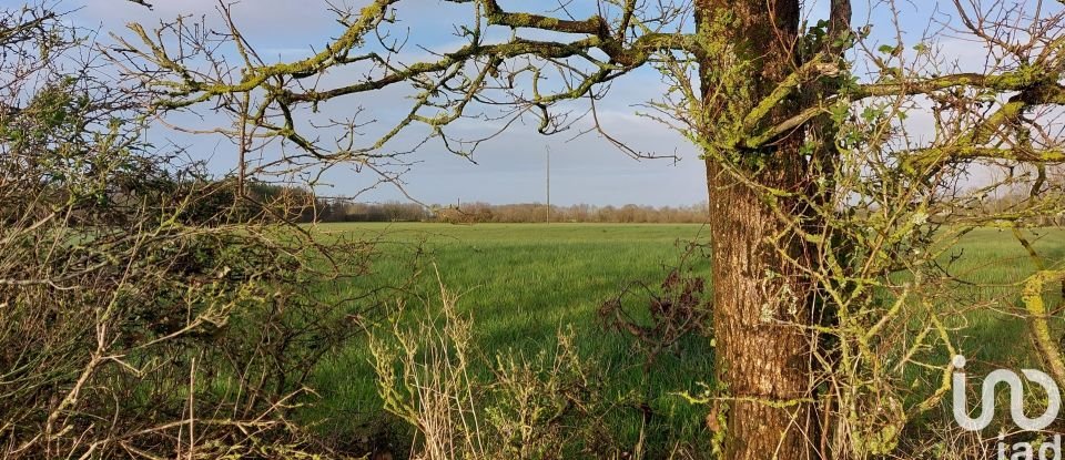 Agricultural land of 370,000 m² in Saint-Christophe-du-Ligneron (85670)