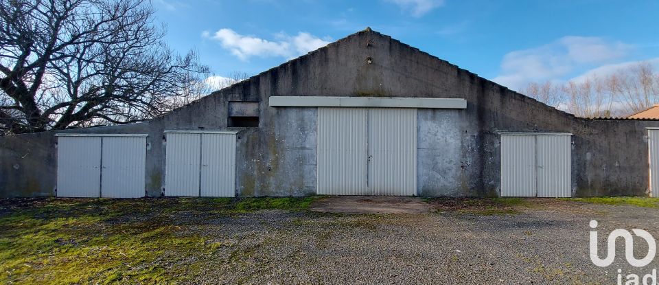 Agricultural land of 370,000 m² in Saint-Christophe-du-Ligneron (85670)