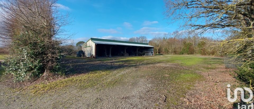 Agricultural land of 370,000 m² in Saint-Christophe-du-Ligneron (85670)