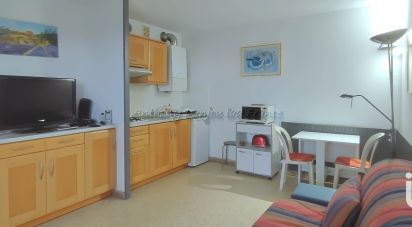 Appartement 1 pièce de 30 m² à Le Grau-du-Roi (30240)