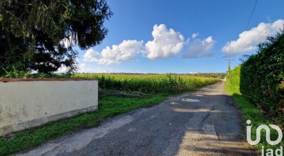 Traditional house 9 rooms of 290 m² in Prigonrieux (24130)