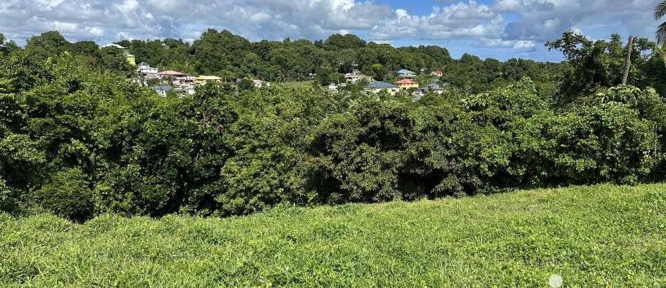 Land of 1,259 m² in Le Moule (97160)