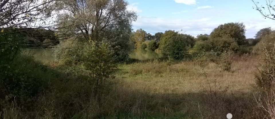 Terrain de 123 995 m² à Tendu (36200)