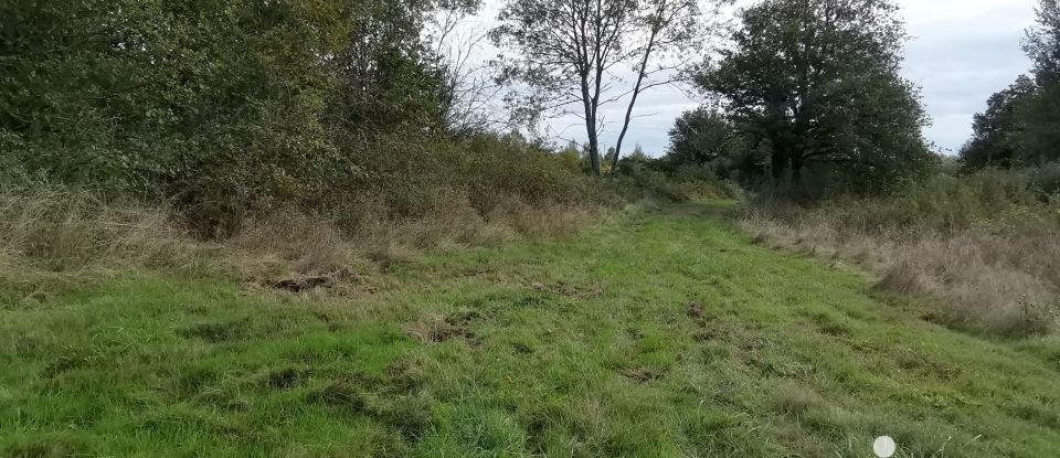 Terrain de 123 995 m² à Tendu (36200)