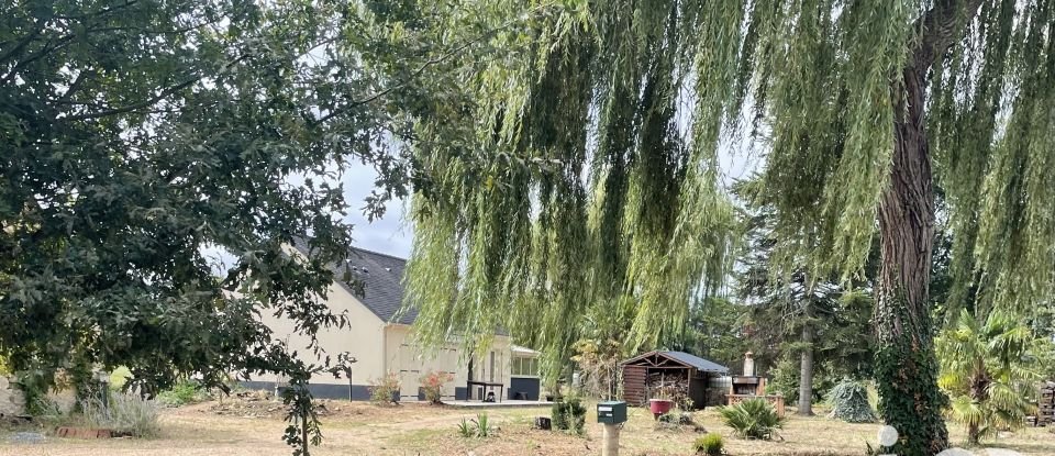 Maison traditionnelle 5 pièces de 108 m² à Baugé-en-Anjou (49150)