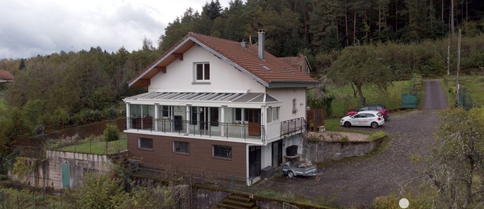 Maison 6 pièces de 102 m² à Saint-Dié-des-Vosges (88100)