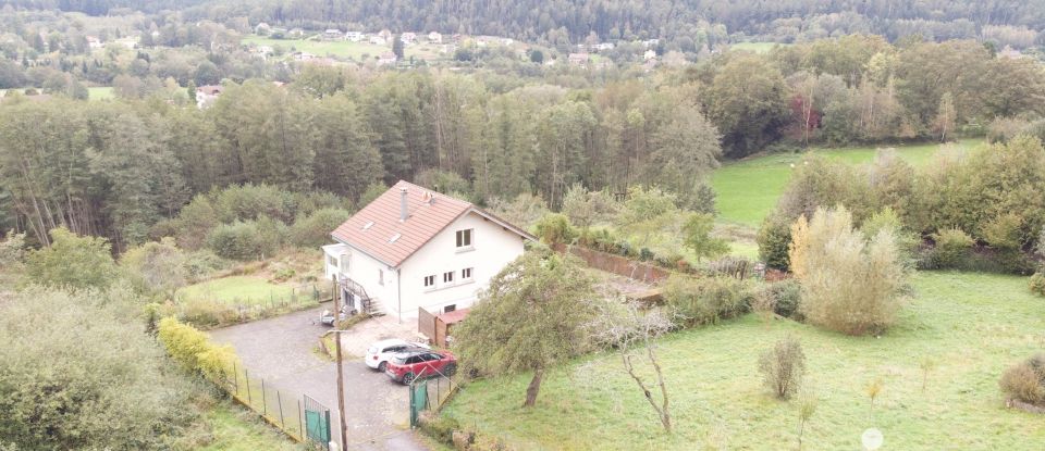 Maison 6 pièces de 102 m² à Saint-Dié-des-Vosges (88100)