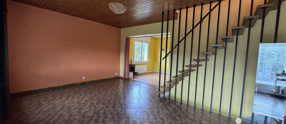 Maison 6 pièces de 102 m² à Saint-Dié-des-Vosges (88100)