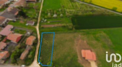 Land of 1,033 m² in Puxieux (54800)