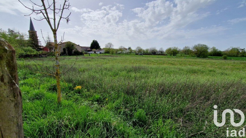 Land of 1,033 m² in Puxieux (54800)