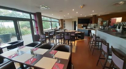 Restaurant of 148 m² in Villeneuve-d'Ascq (59650)