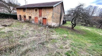 Barn conversion 4 rooms of 300 m² in Darney (88260)