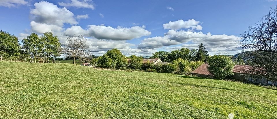 Maison de campagne 10 pièces de 124 m² à Saugues (43170)