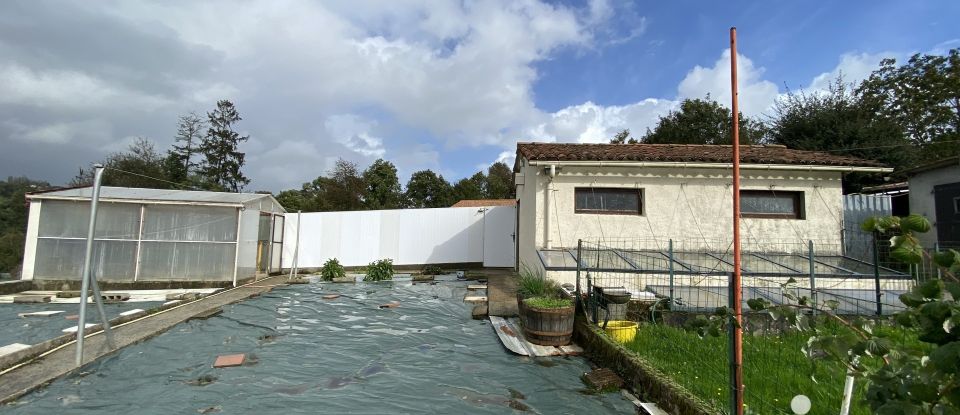 Maison traditionnelle 5 pièces de 110 m² à Saint-Mars-la-Réorthe (85590)