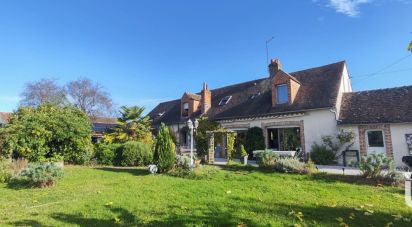 Maison 10 pièces de 170 m² à Ouzouer-sur-Loire (45570)