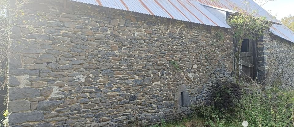 Barn conversion 2 rooms of 240 m² in Mauriac (15200)