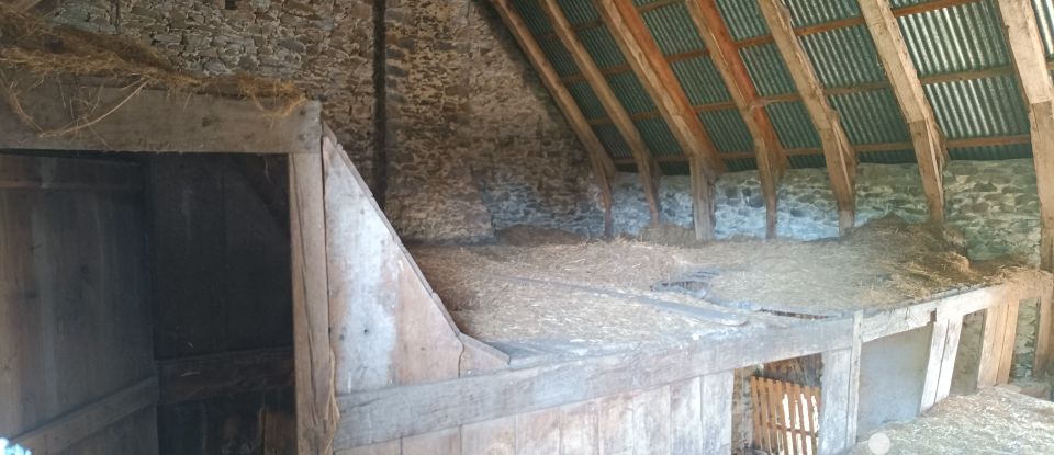 Barn conversion 2 rooms of 240 m² in Mauriac (15200)