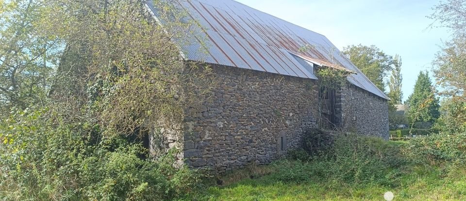 Barn conversion 2 rooms of 240 m² in Mauriac (15200)