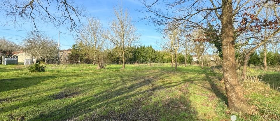 Terrain agricole de 6 002 m² à Montrevault-sur-Èvre (49270)