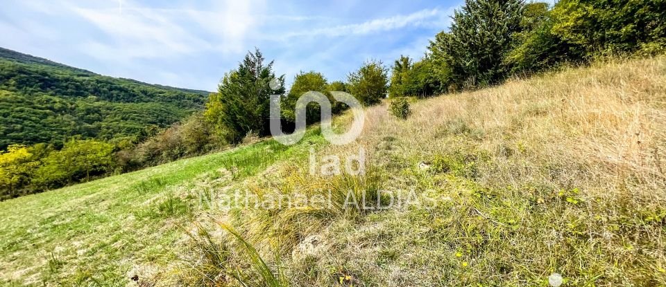 Land of 11,020 m² in Versols-et-Lapeyre (12400)