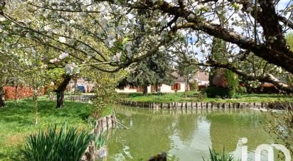 Traditional house 6 rooms of 140 m² in Saint-Père-sur-Loire (45600)