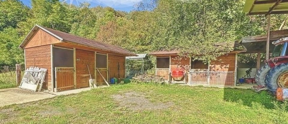 Maison traditionnelle 10 pièces de 194 m² à Berneuil-sur-Aisne (60350)