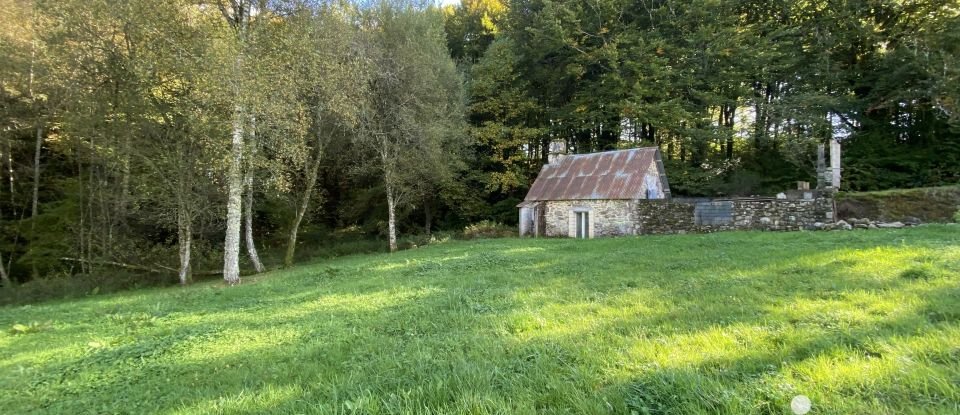 Maison de campagne 6 pièces de 144 m² à Moustier-Ventadour (19300)