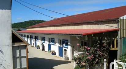 Equestrian facility 5 rooms of 140 m² in Bouafles (27700)